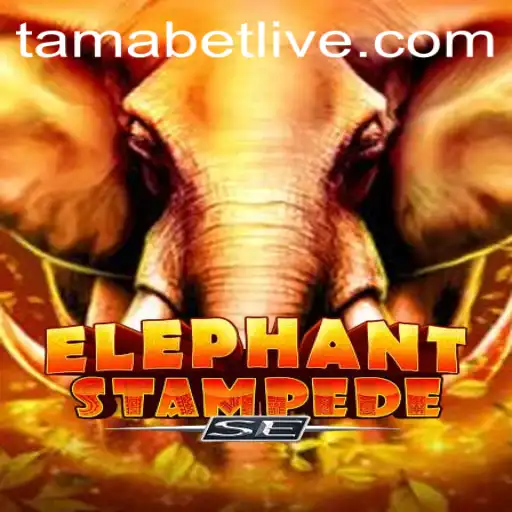 Exploring the Exciting World of ElephantStampedeSE: The New Gaming Sensation Featuring Tamabet